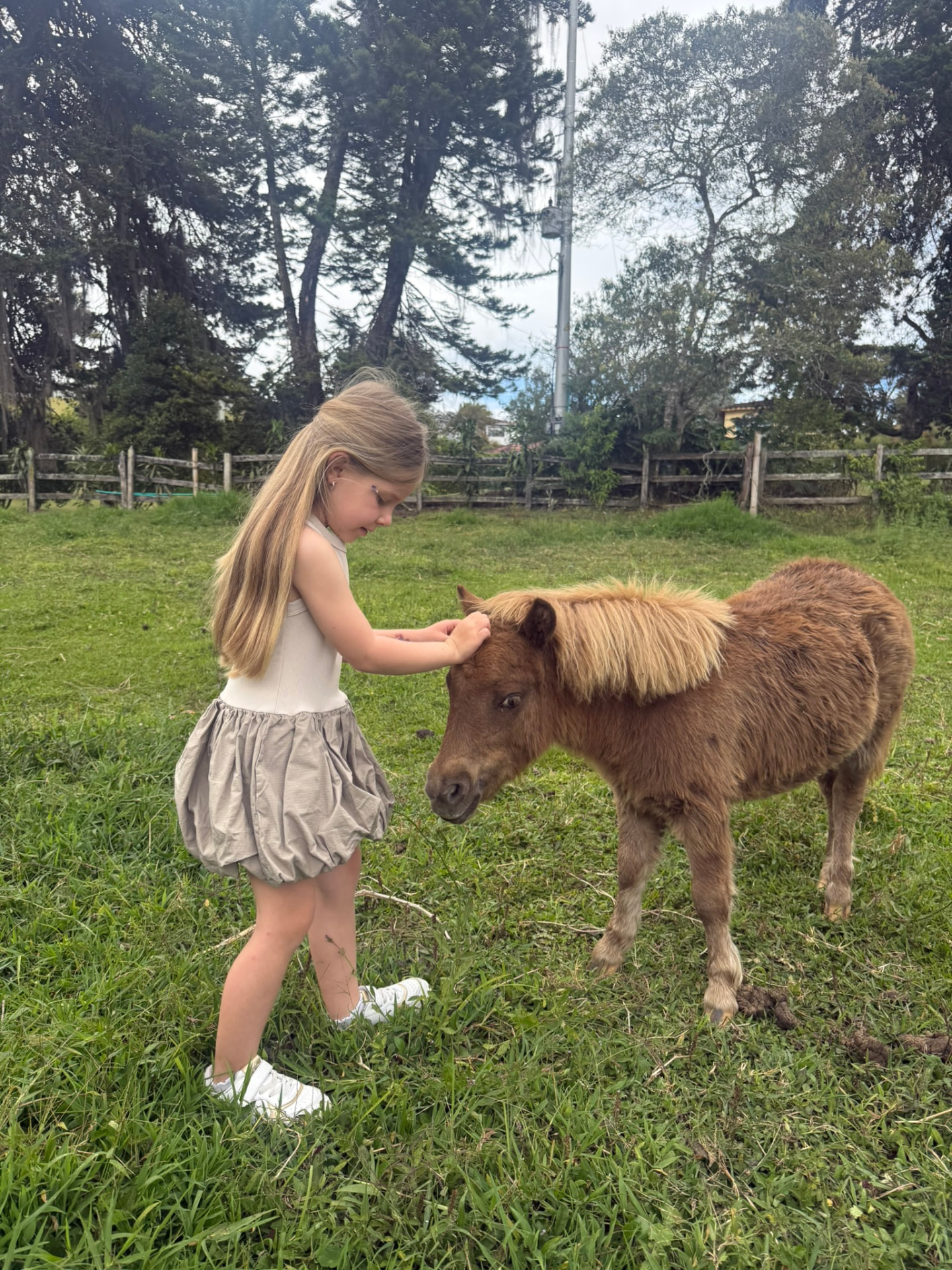 Niña acariciando un pony en el jardín