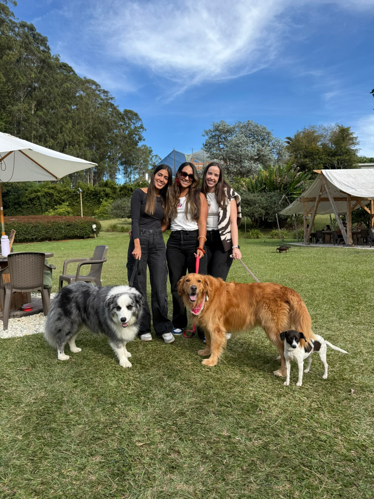 Amigas con sus perros en el jardín